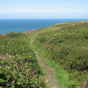 A%20trip%20to%20the%20beach_The%20path